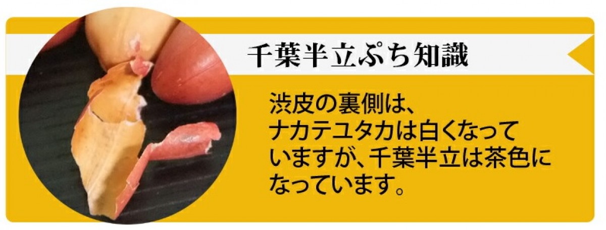 2023年度産 新豆 煎ざや(ナカテユタカ)500g 千葉県八街産落花生 - 千葉