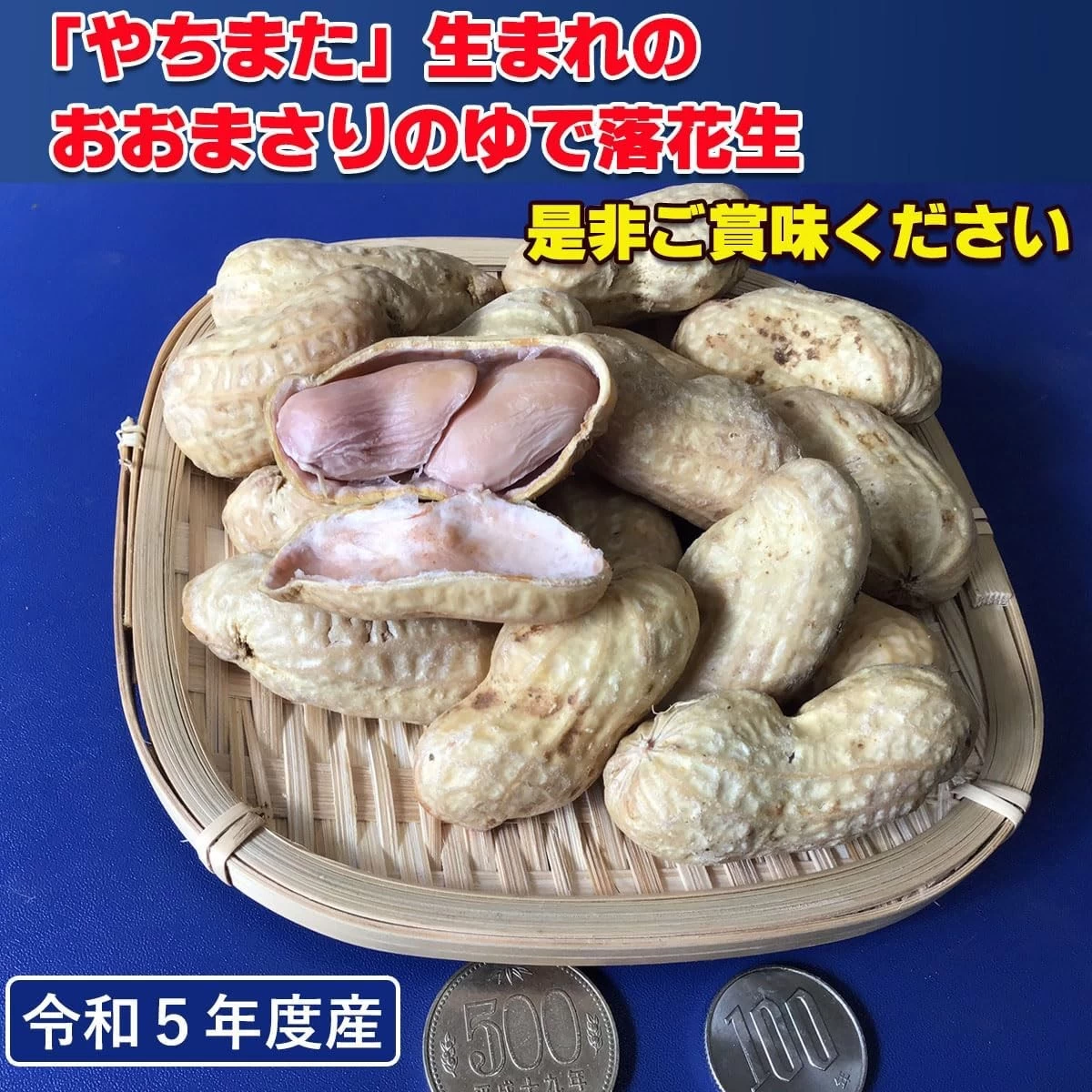 九十九里産 生落花生 大粒 おおまさり 5kg - 食品