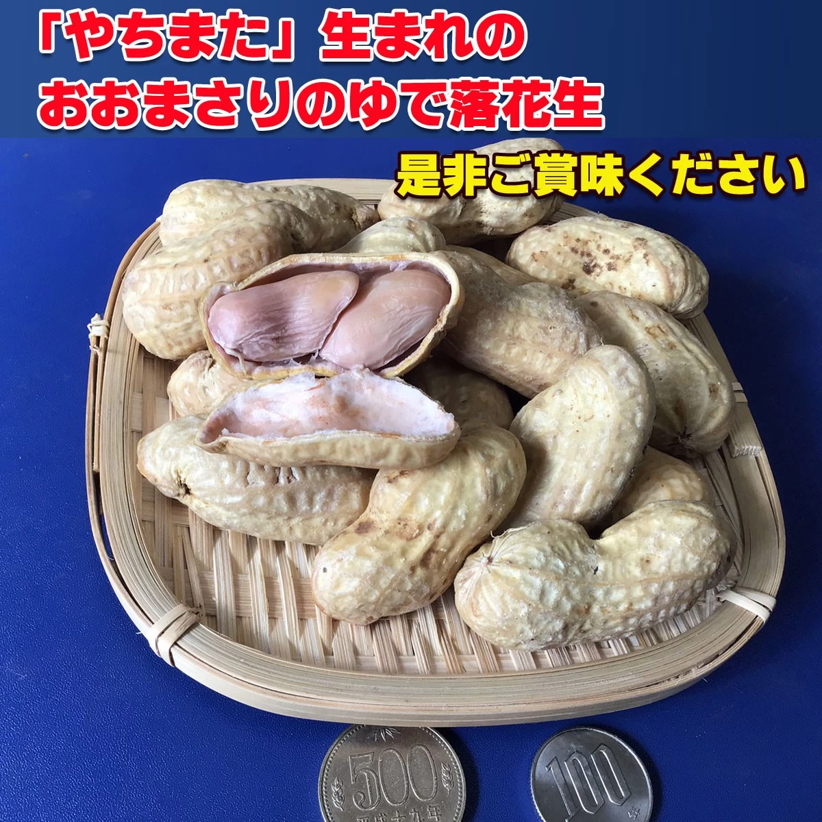 2024年度産 新豆 手もぎジャンボゆで落花生おおまさり380g×2袋セット